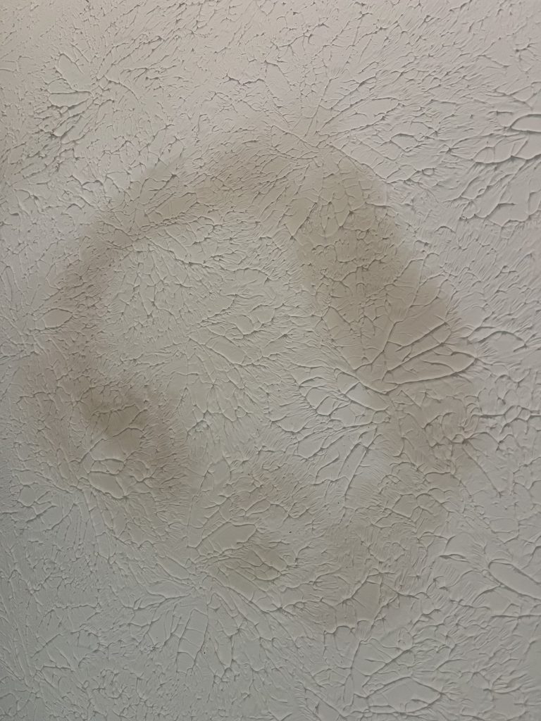water spots on ceiling